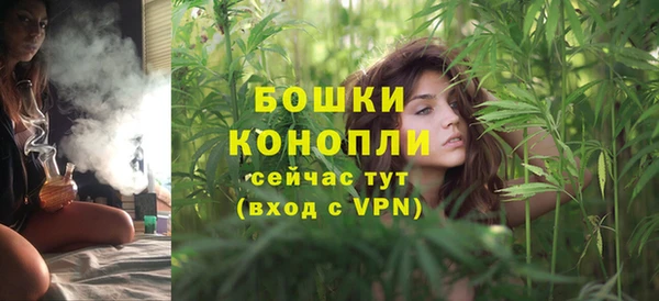 соль ск Арсеньев