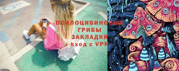 прущий лед Аркадак