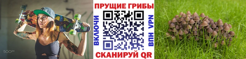 Псилоцибиновые грибы Cubensis  omg ONION  Холм 